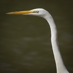 dsc01592-standard.jpg