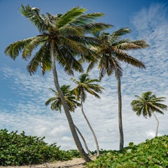 dsc01724-standard.jpg