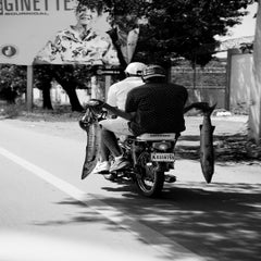 dsc01877-standard.jpg