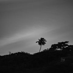 dsc_0006-standard-bi1dh5.jpg