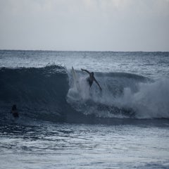 dsc_0362-standard.jpg