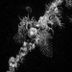 p7180183-standard.jpg