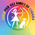 Luce per gli amici di Chiara ODV