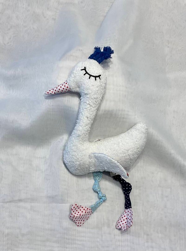 Storch