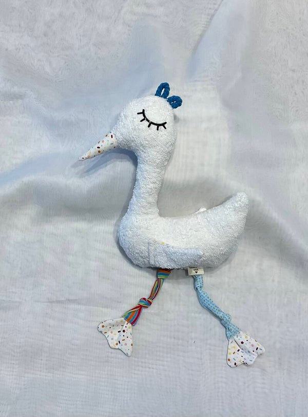 Storch