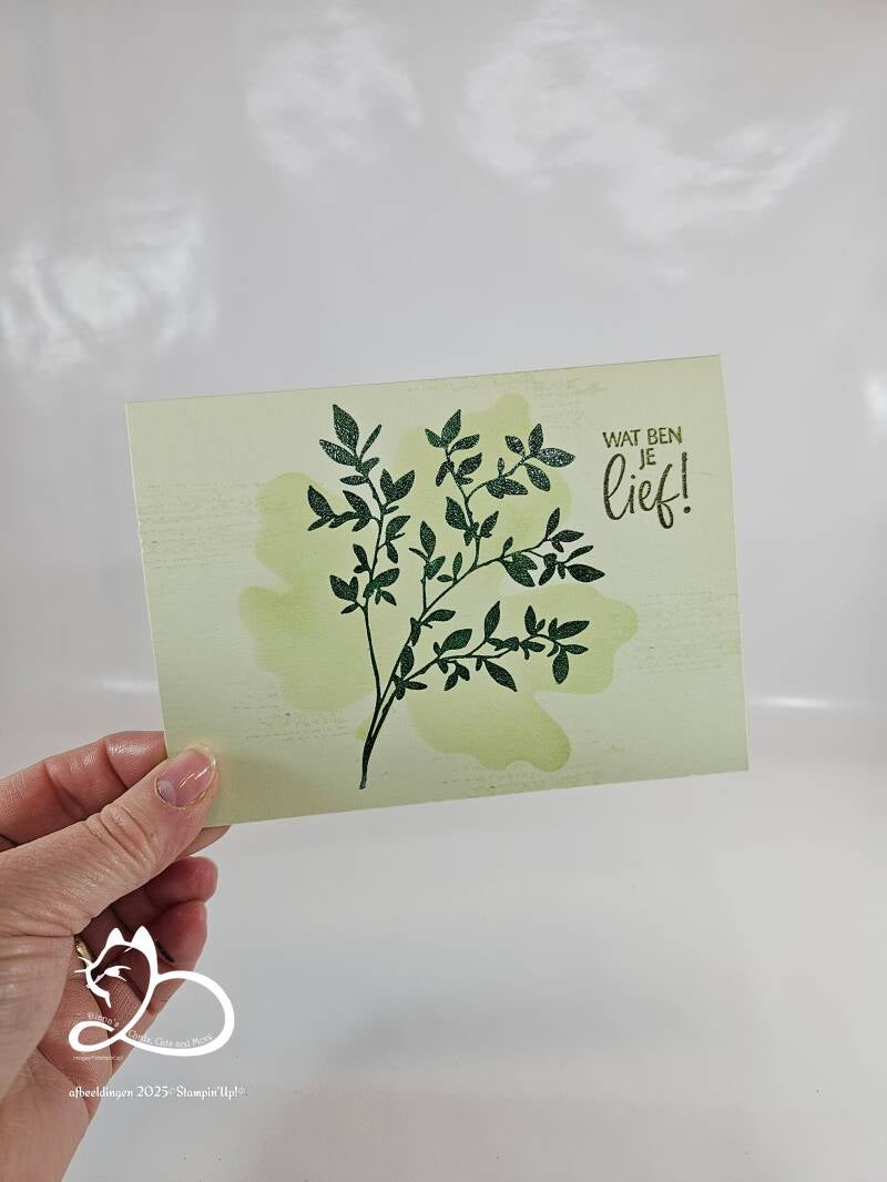 nature's symphony, one layer card, diana van otterlo©, 