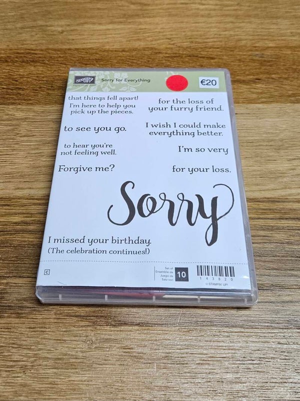 ST Sorry for Everything