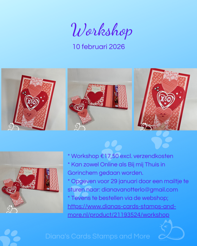 Flyer Workshop Februari 2026, Diana van Otterlo©, 