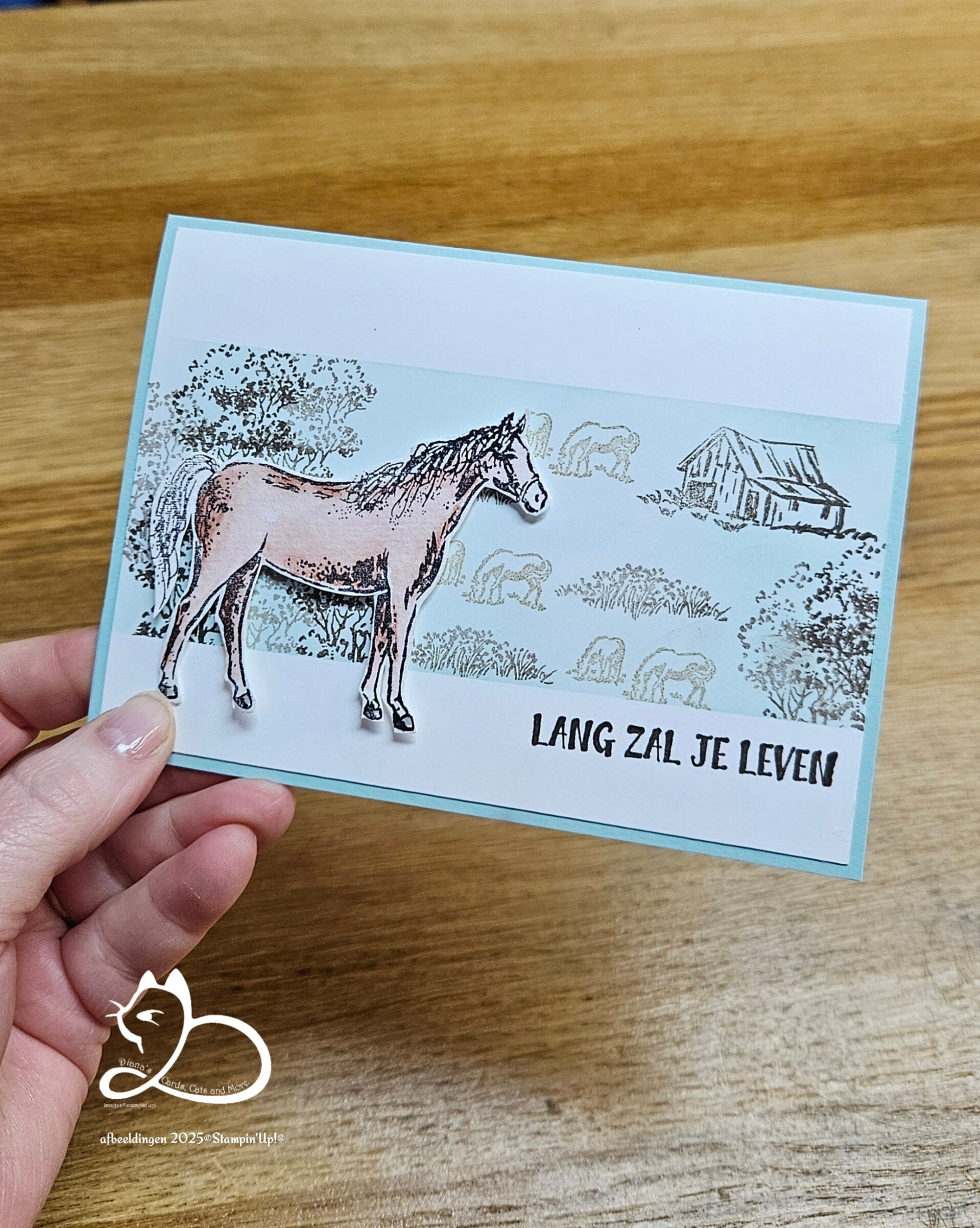 unbridled beauty donderdaglive Diana van Otterlo©, StampinÚp!®, 