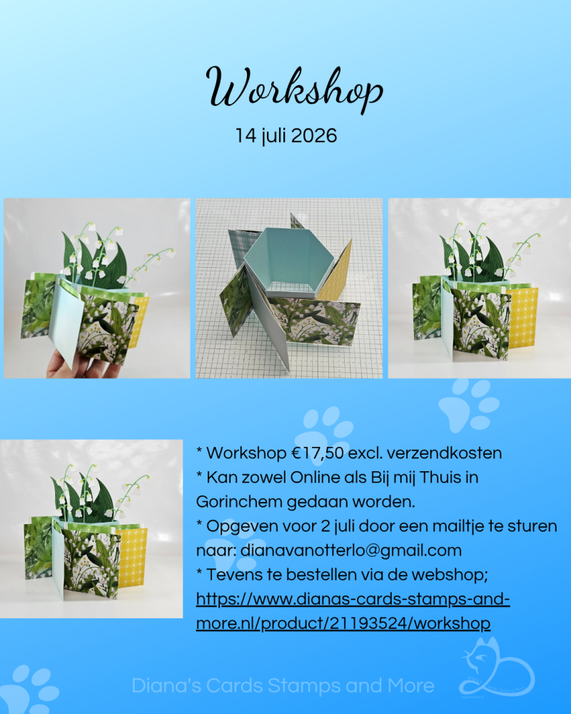 Workshop Diana's Cards Stamps and More Juli 2026