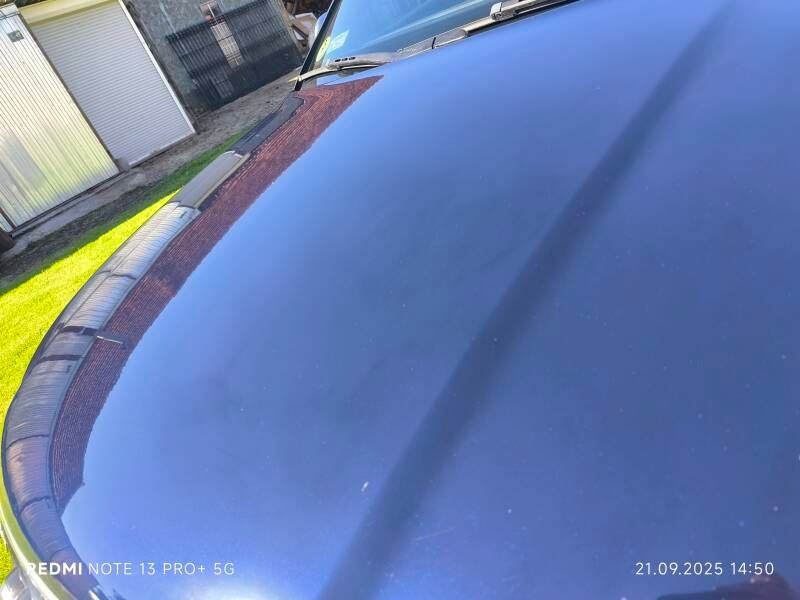 1000007186-standard.jpg