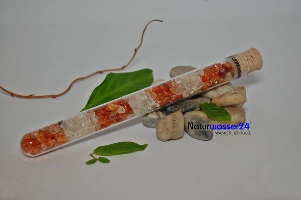 LEBENSFREUDE & VITALITÄT