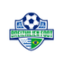BREIZHILIEN FOOT