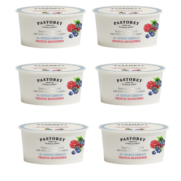 PASTORET Pack 6 Yogures estilo griego con frutos silvestres artesanales
