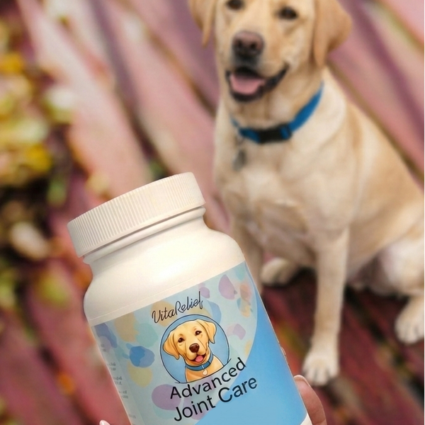 Advanced Joint Care Supplement - 90 Capsules