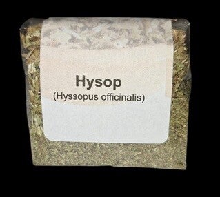 Hysop