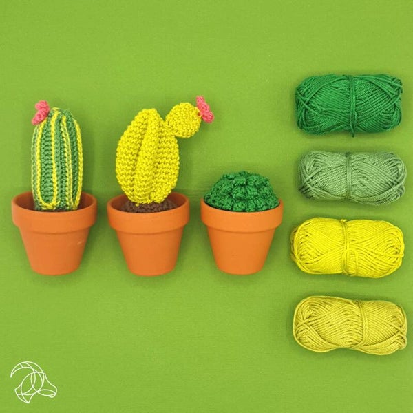 cactussen