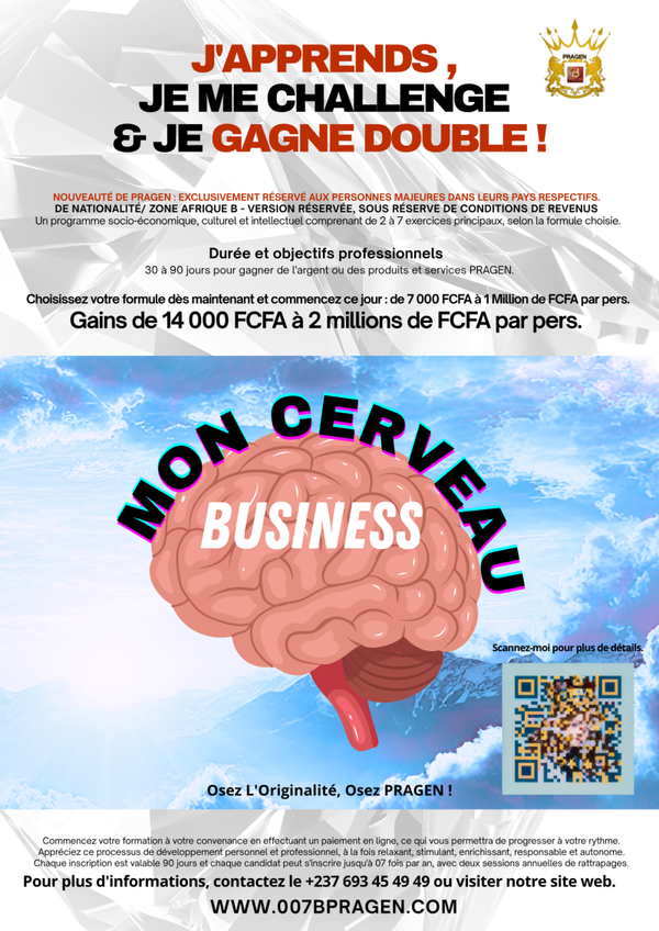 MON CERVEAU BUSINESS A03 -Zone B / AFRIQUE / Forfait N°3