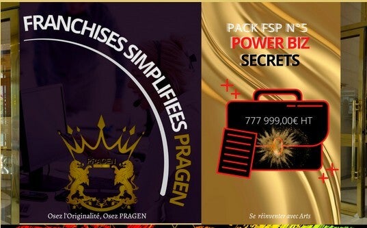 PACK FSP N° 5 " POWER BIZ SECRETS "