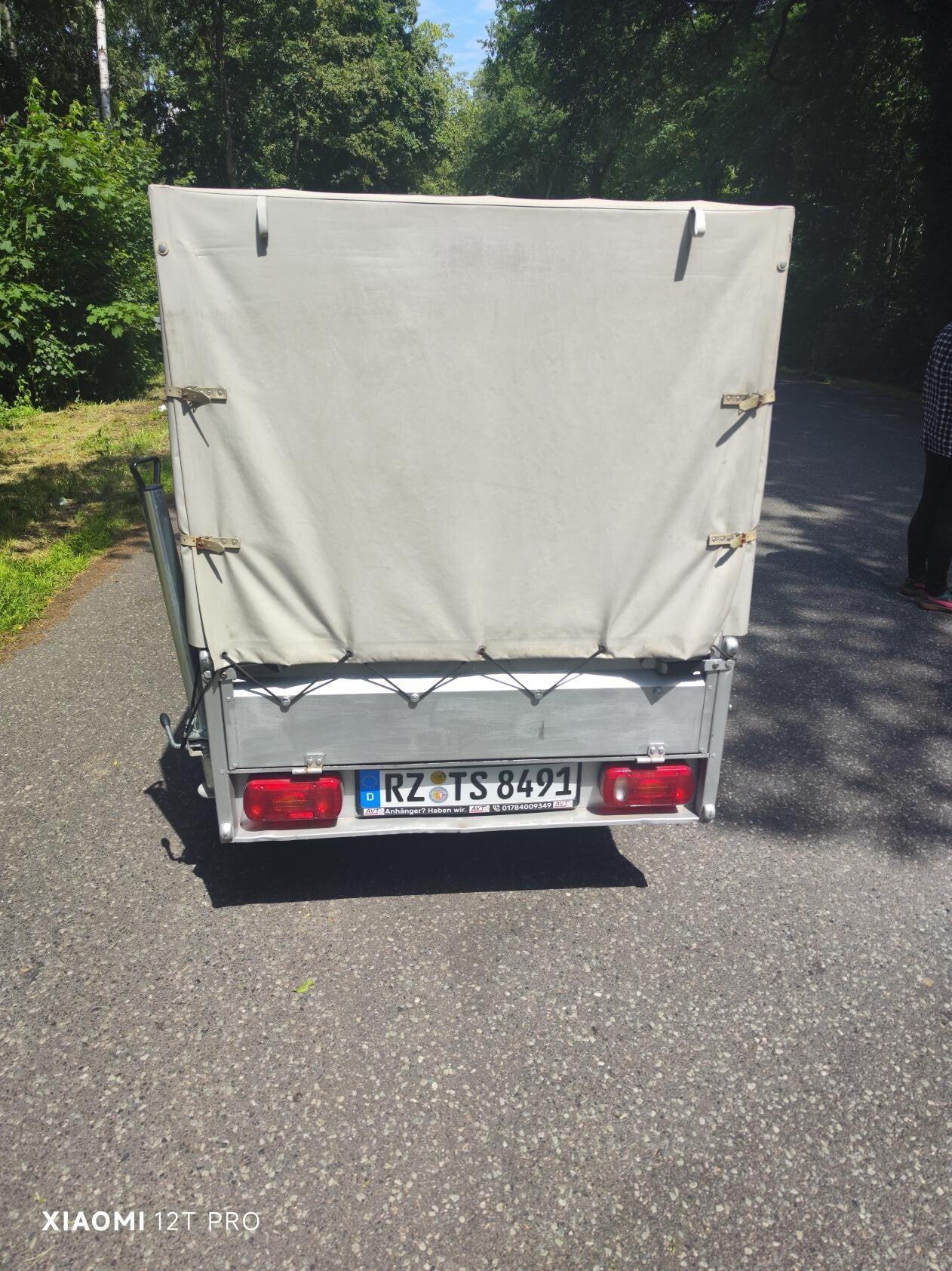 3-standard.jpg
