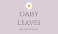 Daisy leaves
