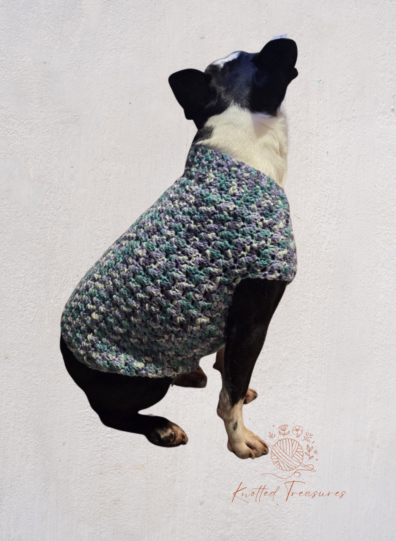 Dog jumper