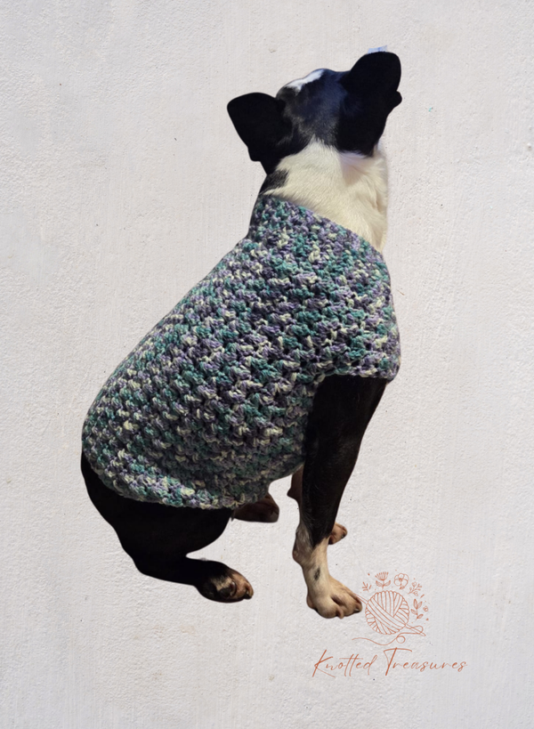 Dog jumper