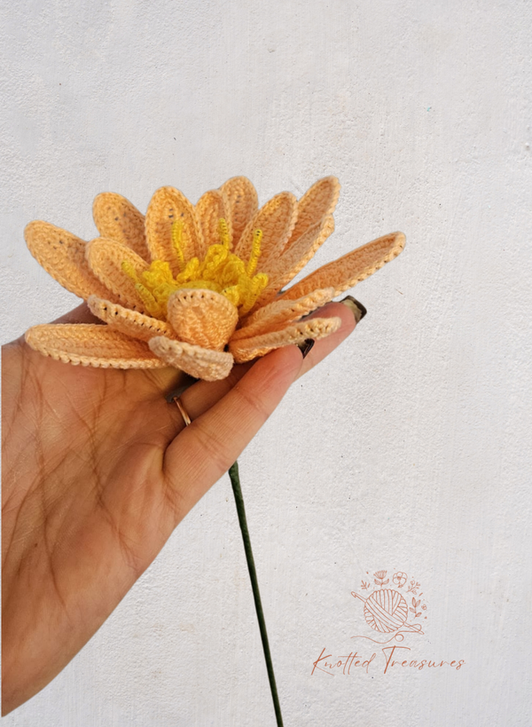 Water Lily flower