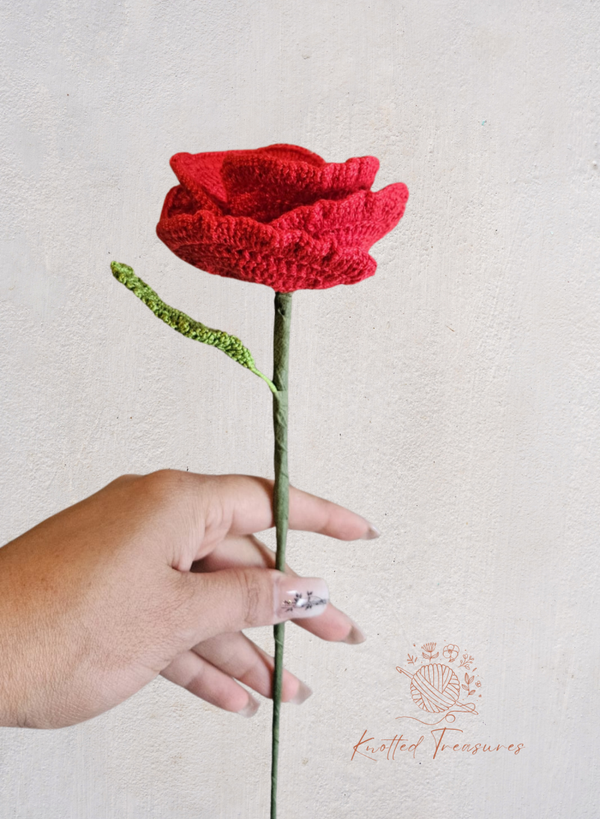 Corn Poppy flower