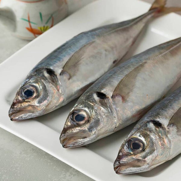 Carapau grande chicharro 3 peixe