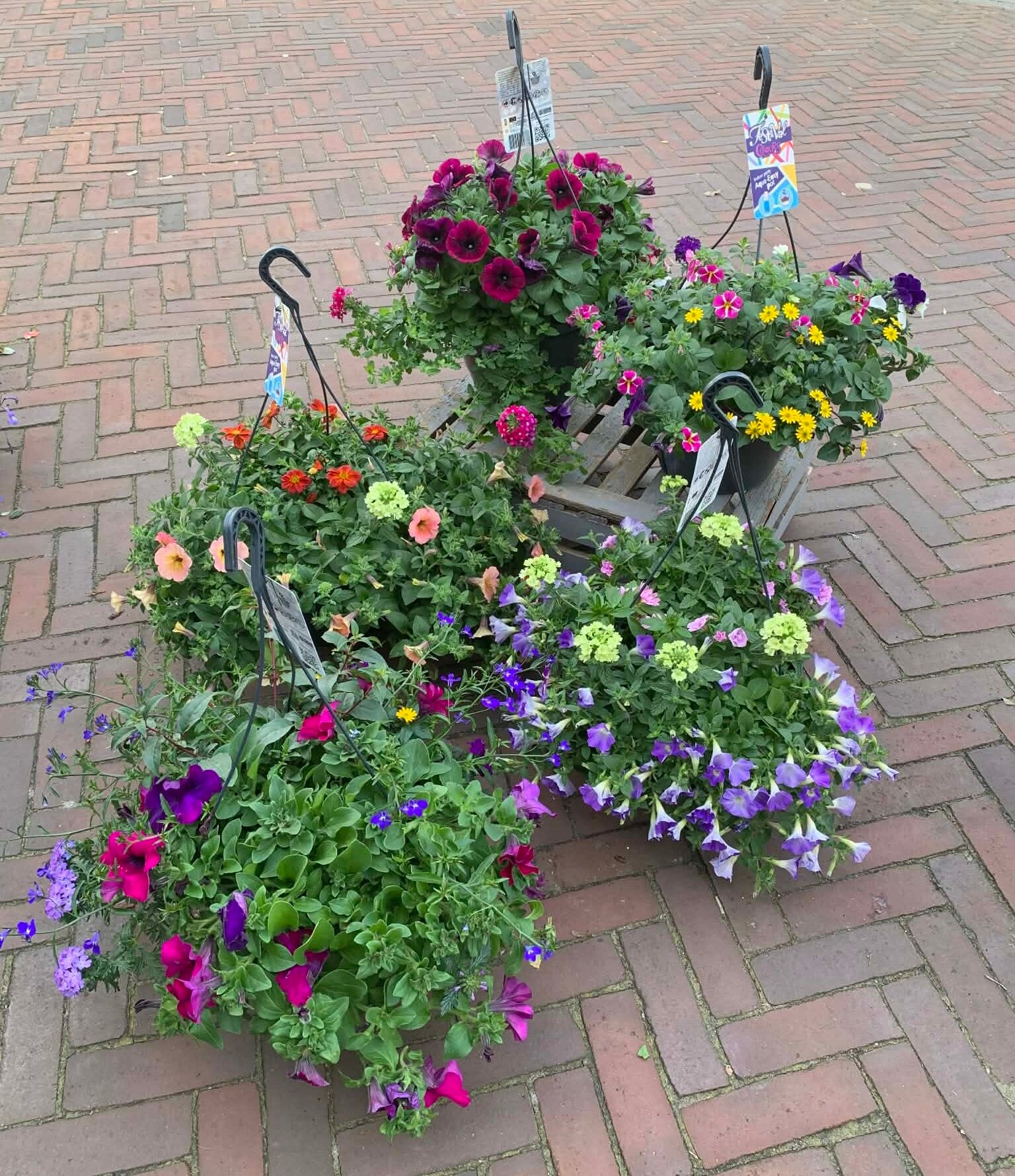 Hanging basket met waterreservoir
