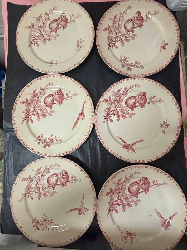 Lot 6 assiettes plates favori de Sarreguemines