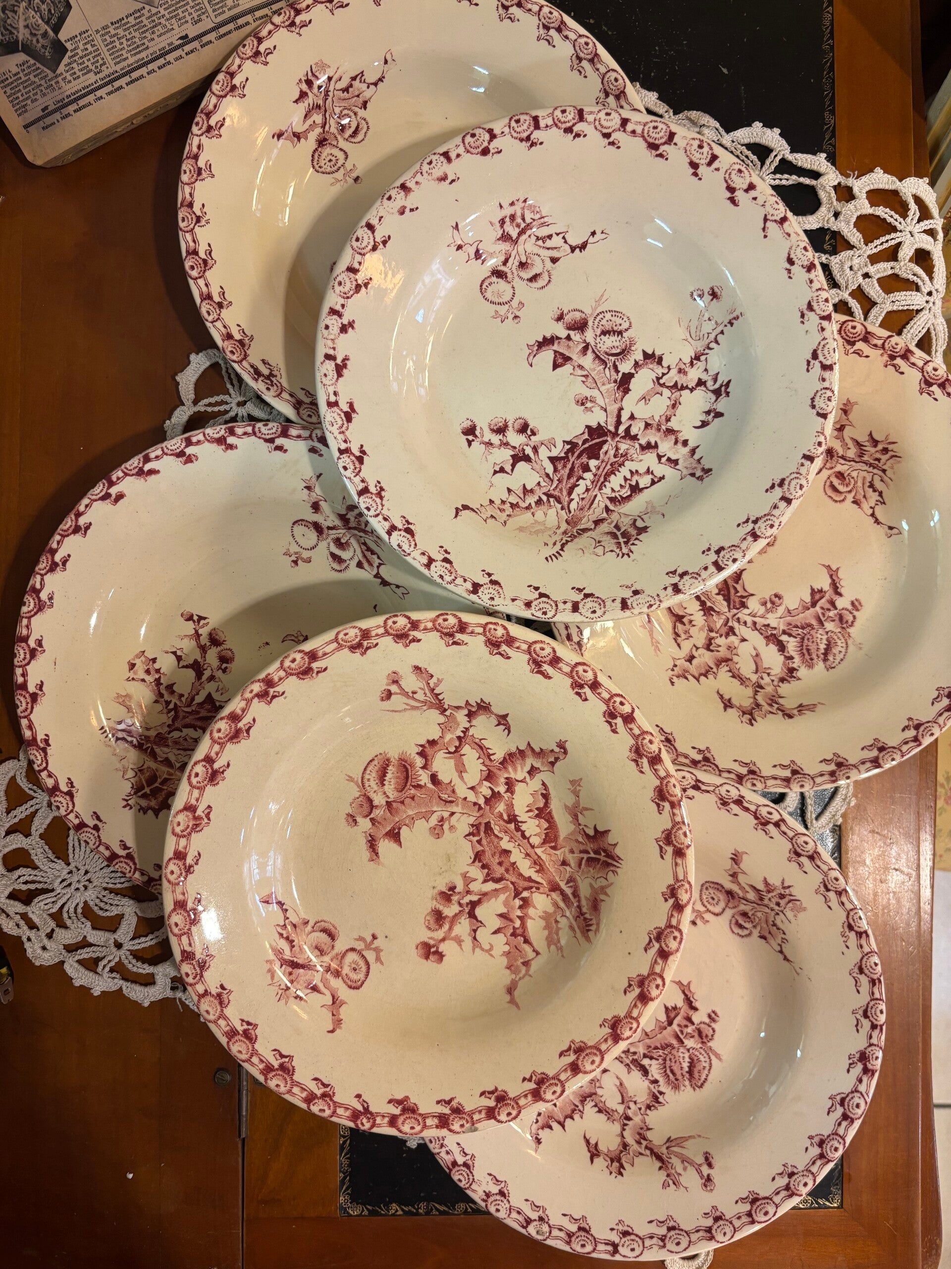 6 assiettes creuses « chardons » de Gien