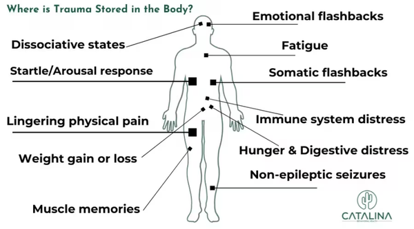 THE BODY-EMOTION MAP