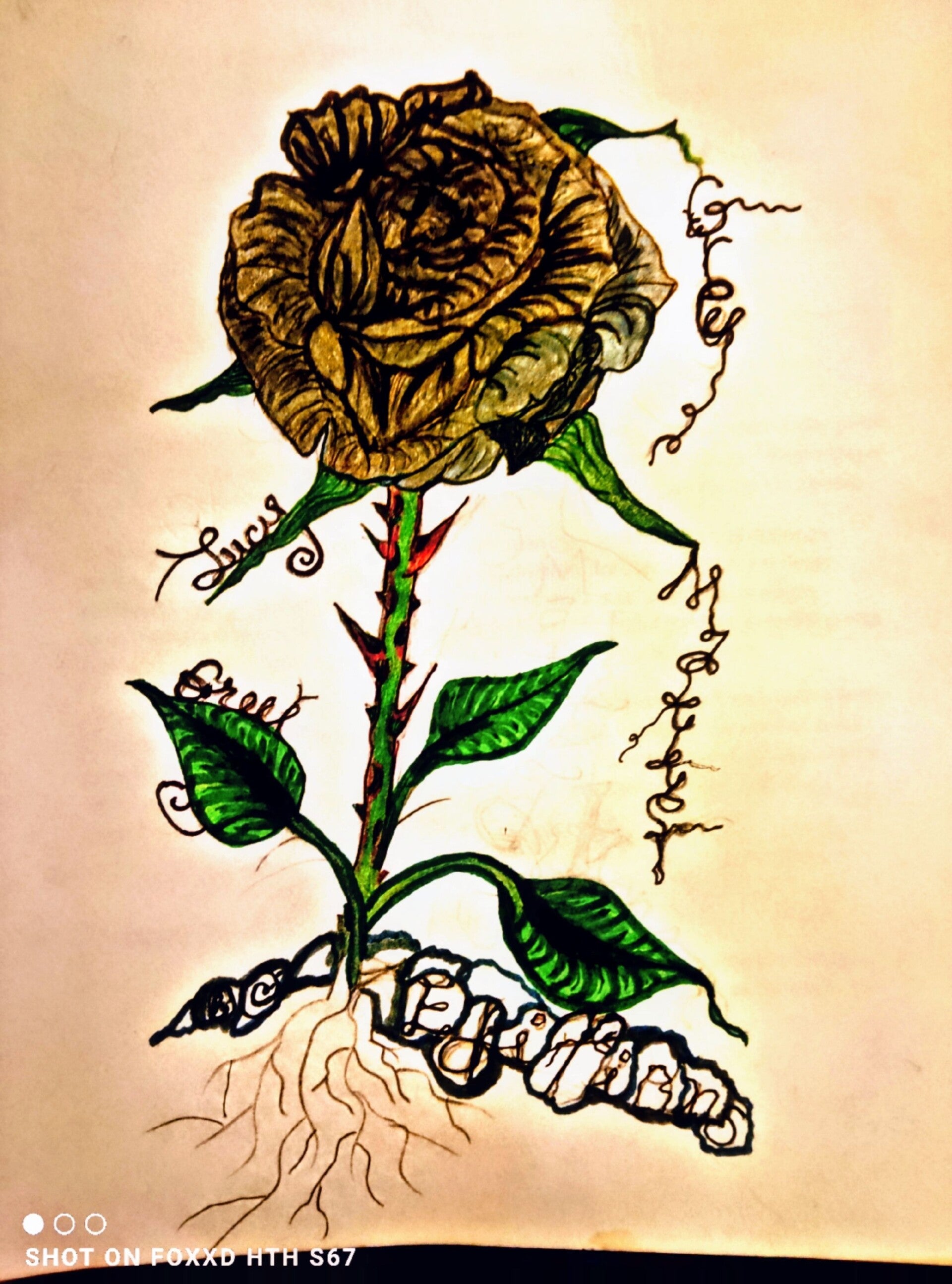 "The Missing Physics Equation Inside Your Skull" [Podcast Episode #2]- Mp3