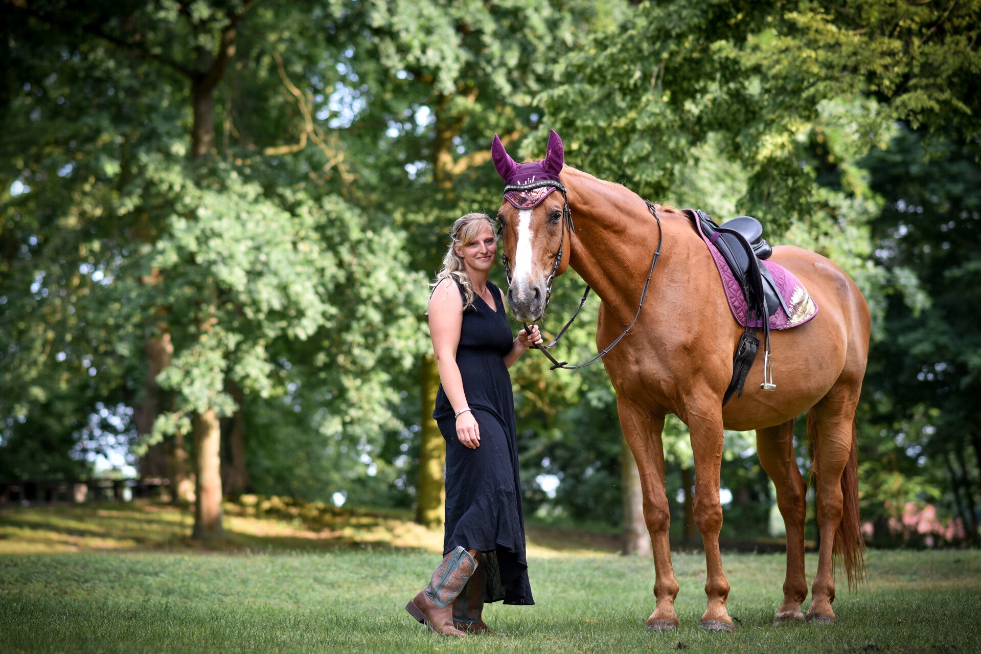 Pferdestall Potsdam-Mittelmark