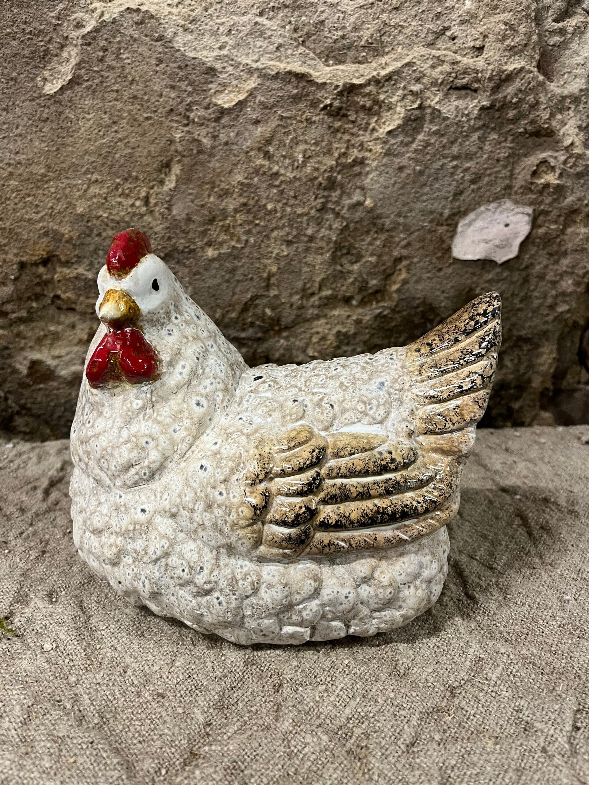 countryfield kip zittend Kaatje