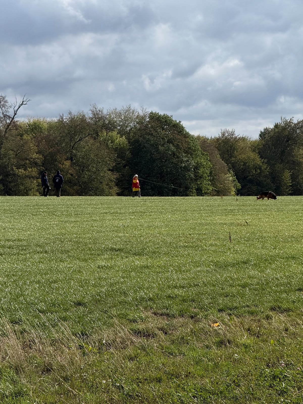 img-20261011-wa0062-standard.jpg