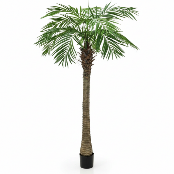 Leje af Kunstig Palme – Naturtro Hawaii-stemning (ca. 200 cm)