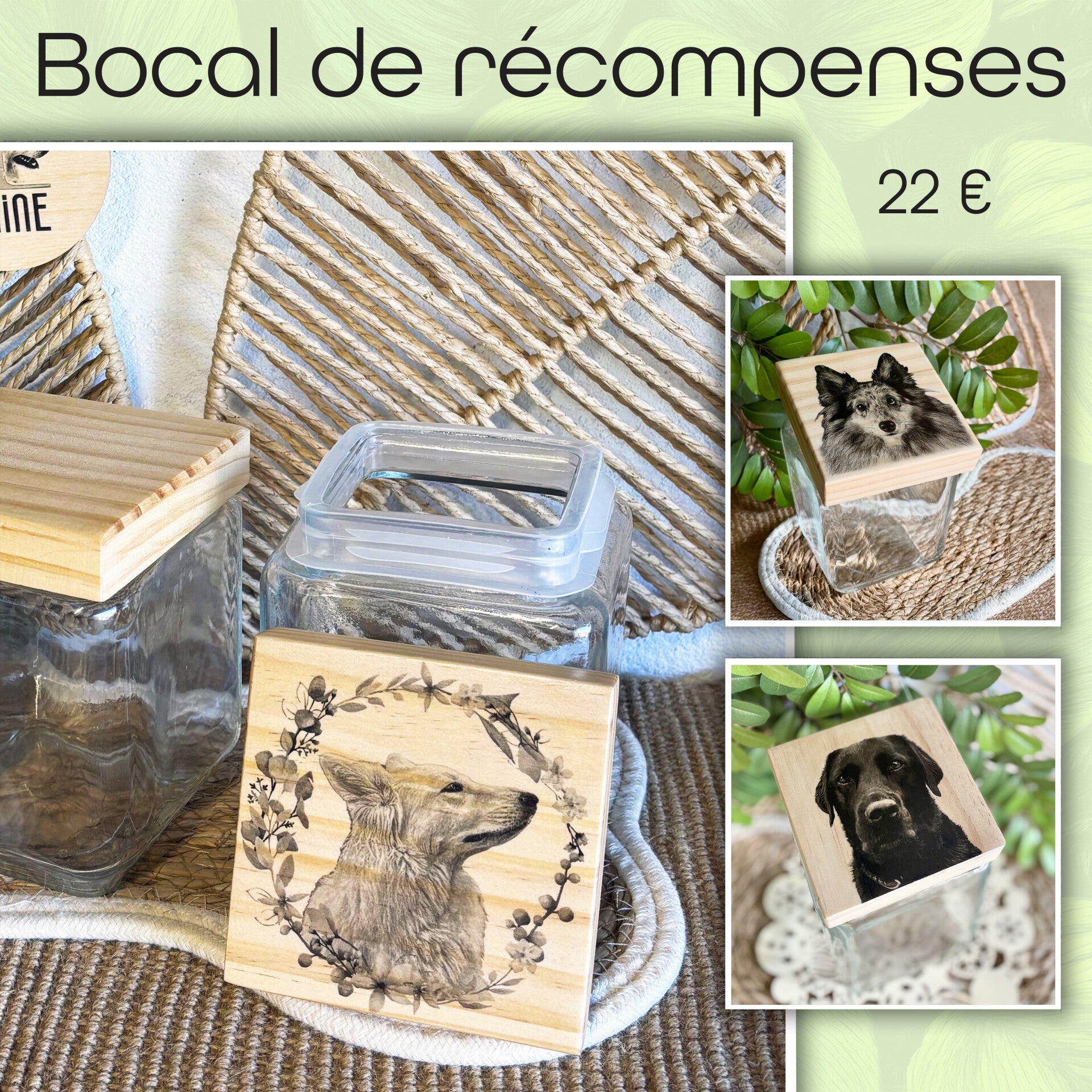 Bocal de récompenses