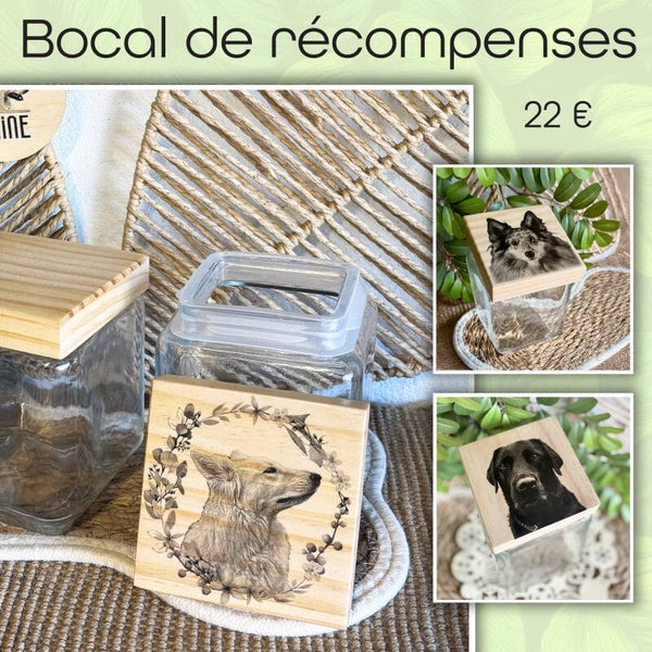 Bocal de récompenses