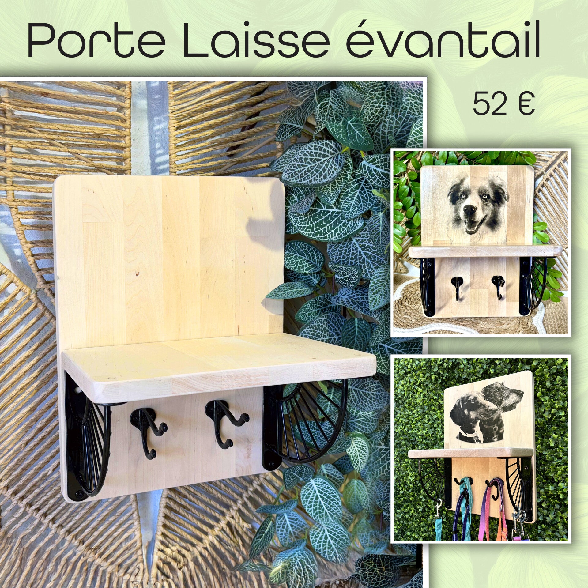 Porte Laisses Éventail