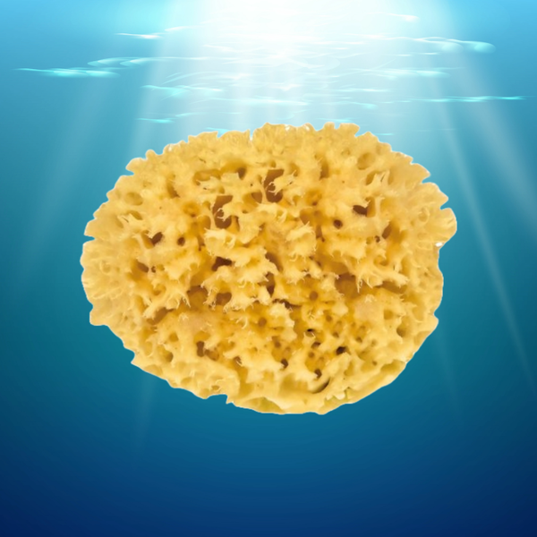 Nachhaltiger Naturschwamm