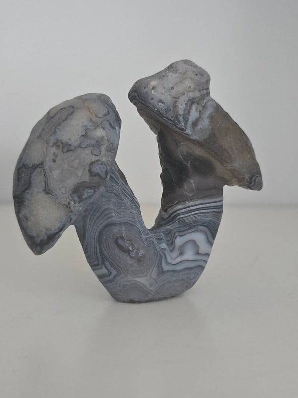 Gobi Agate Double Mushroom A69