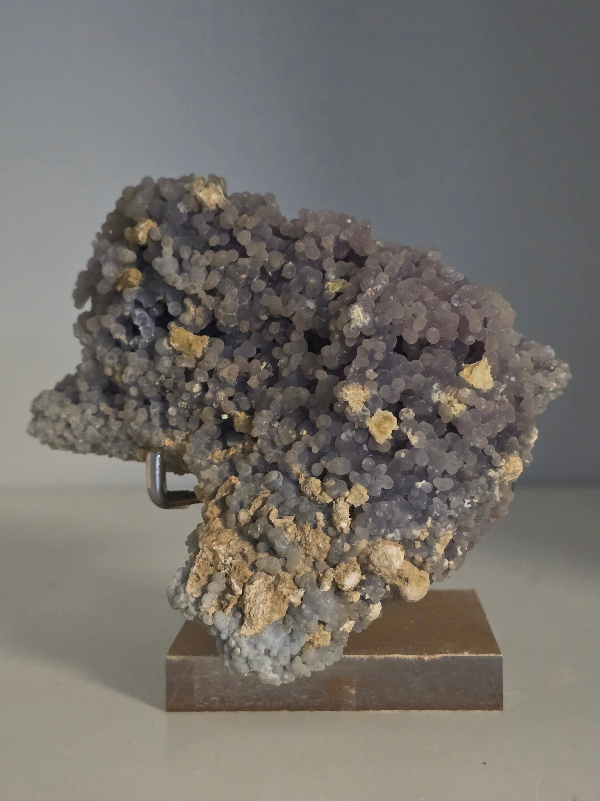 Grape Raw Specimen on stand Z368