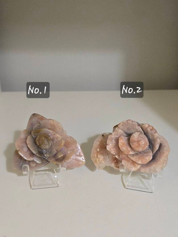 Pink Amethyst Peony Flowers