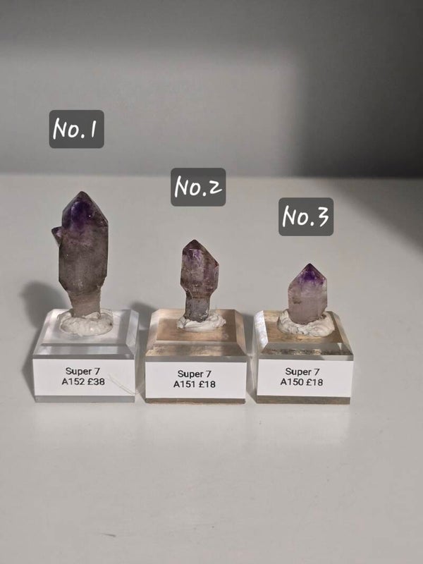 Super 7 Specimens