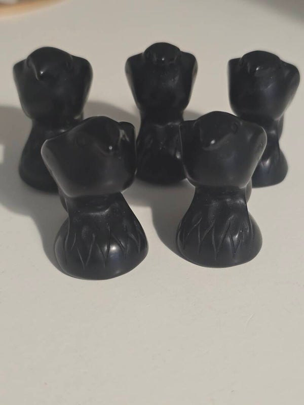 Obsidian Raven F23