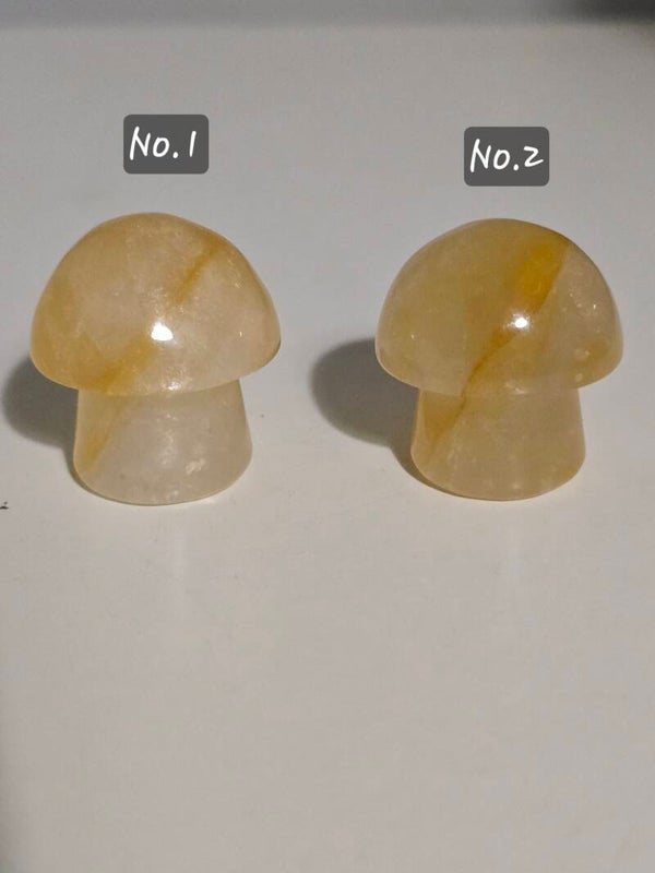 Golden Healer Mushrooms Carvings