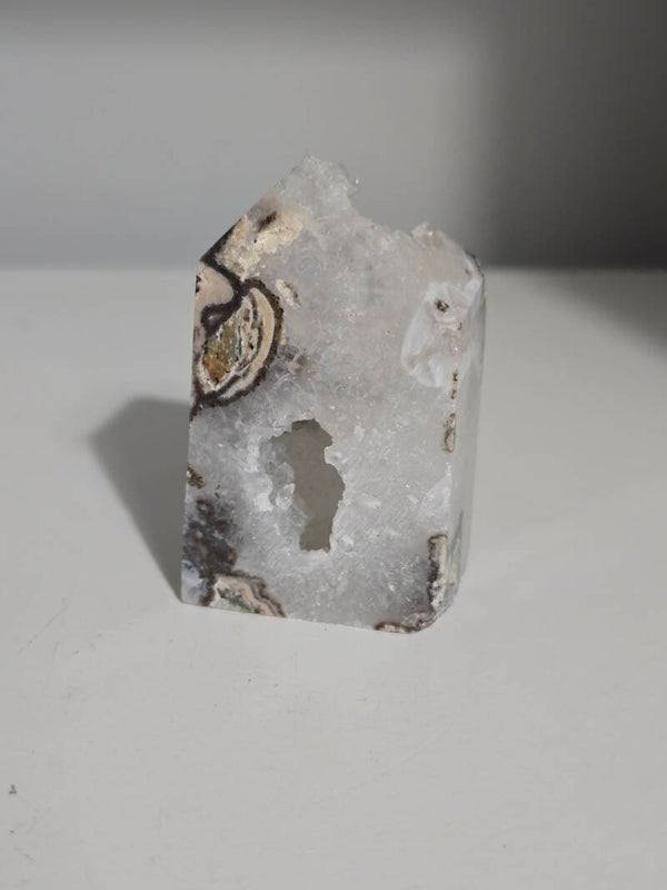 Mexican Trancas Z492